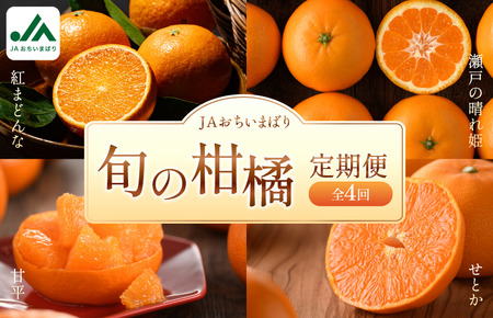 ＪＡおちいまばり柑橘定期便（４回コース）【KE00580】＜紅まどんな／瀬戸の晴れ姫／甘平／せとか＞