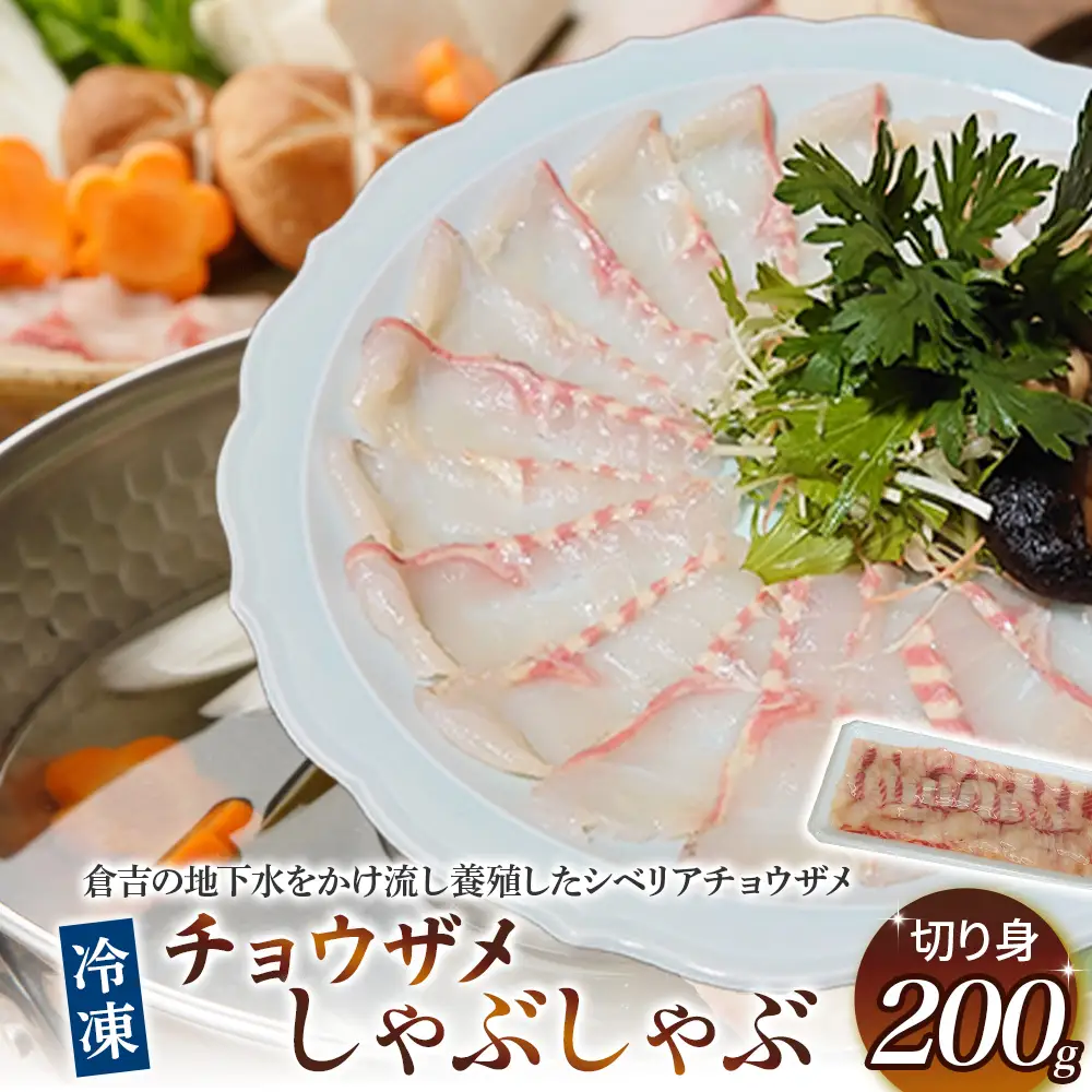 珍しいチョウザメのしゃぶしゃぶ！ 倉吉蝶鮫 切り身200g ／ 国産 ちょうざめ チョウザメ しゃぶしゃぶ 倉吉市