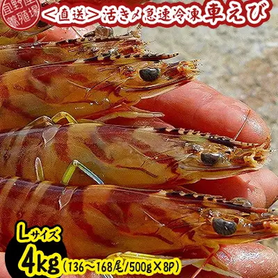 車海老 活き〆急速冷凍車海老 Lサイズ 約4kg