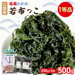 早採り 塩蔵わかめ 若芽っこ 250g×2袋 (計500g) 海鮮 海藻 わかめ ワカメ 魚貝類 魚介類 みそ汁 スープ 酢の物 小分け 贈答品 贈答用 三陸産 岩手県 大船渡市