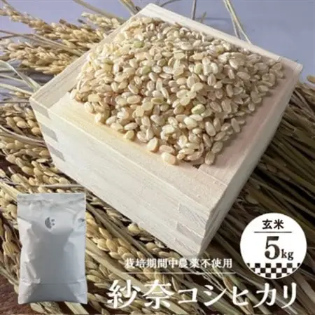 【玄米5kg】紗奈～はまだ農園 　玄米(コシヒカリ)_ 玄米 米 こめ コメ   コシヒカリ 米 こしひかり_【1600210】
