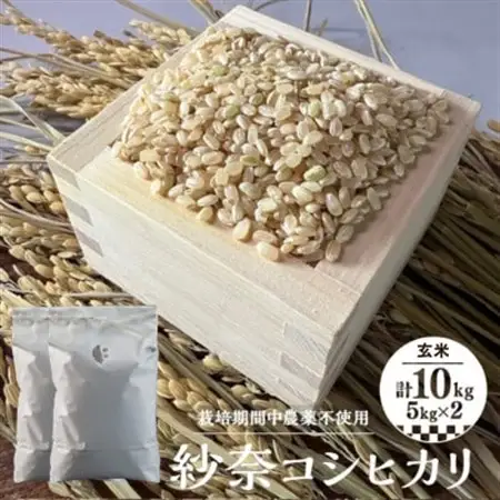 【玄米10kg】紗奈～はまだ農園 　玄米(コシヒカリ)_ 玄米 米 こめ コメ   コシヒカリ 米 こしひかり_【1600213】