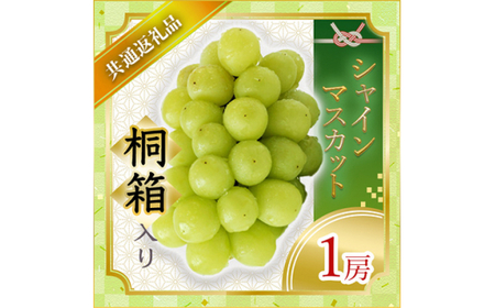 シャインマスカット 桐箱入り 1房 ＜2026年7月より順次発送予定＞ (県内共通返礼品:かすみがうら市産) 先行予約 ぶどう ブドウ 葡萄 フルーツ 茨城 新鮮 (BR066)