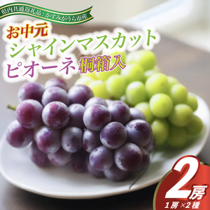 【お中元 熨斗付】 シャインマスカット と ピオーネ 桐箱入り 2房 ＜2026年8月より順次発送＞ (県内共通返礼品:かすみがうら市産) 先行予約 ギフト 贈答 ぶどう ブドウ 葡萄 フルーツ 茨城 新鮮 (BR103)