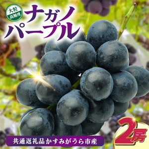 ナガノパープル2房　県内共通返礼品:かすみがうら市産 (BR155)