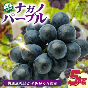 ナガノパープル5kg　県内共通返礼品:かすみがうら市産 (BR157)