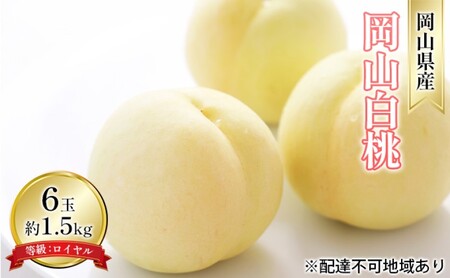 桃 2026年 先行予約 岡山 白桃 6玉 約1.5kg 等級：ロイヤル（1玉 240g以上） もも モモ 岡山県産 国産 フルーツ 果物 ギフト デザート 岡山の桃