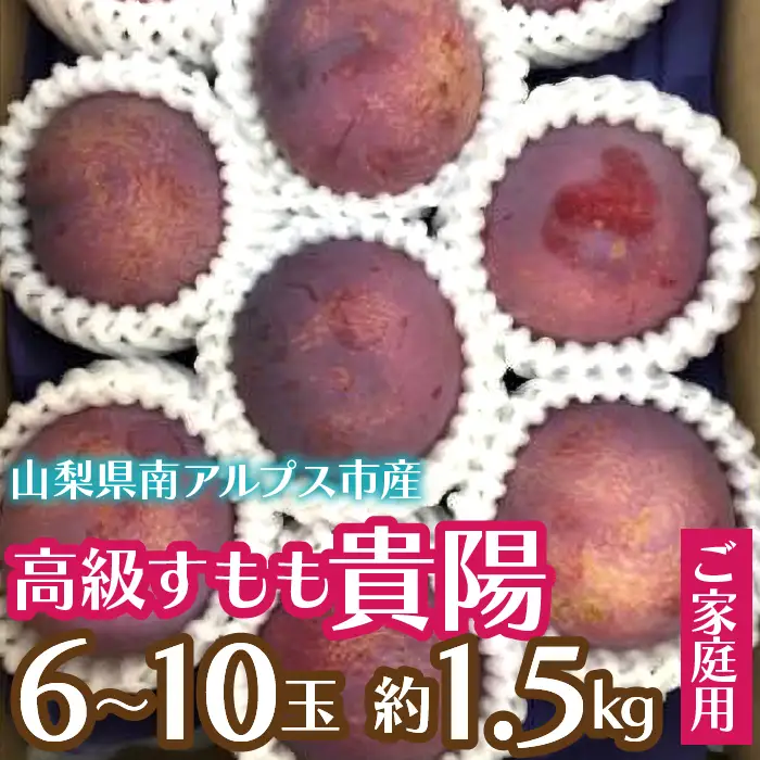 ＜2026年発送先行予約＞【ご家庭用】高級すもも「貴陽」約1.5kg（8～13玉） ALPCZ016