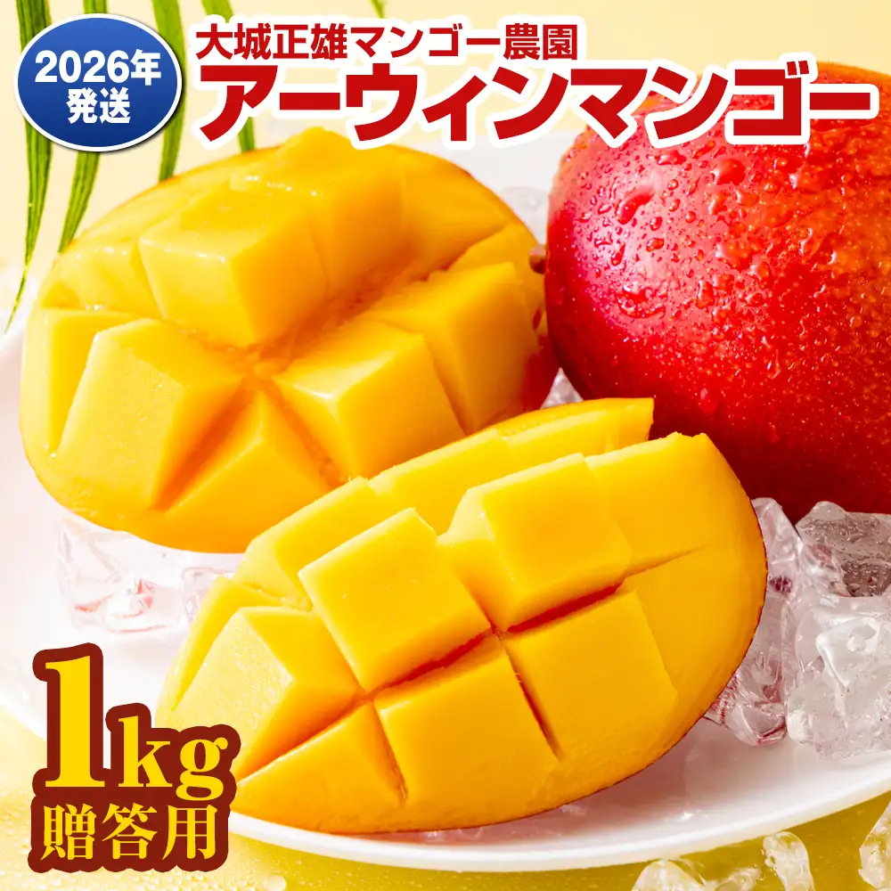【2026年発送】大城正雄マンゴー農園　アーウィンマンゴー　贈答用1kg