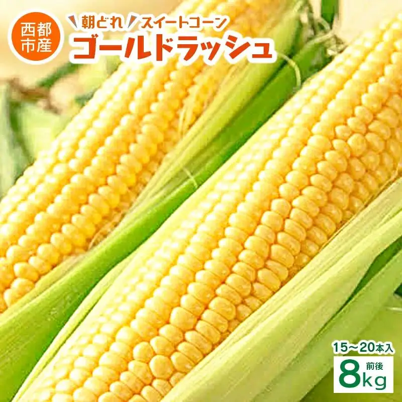 初夏の味覚！鮮度が命 生産者直送 村田さん家のゴールドラッシュ 約8kg 西都市産 朝どれスイートコーン【先行予約】＜63-1a＞