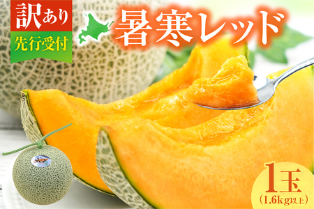 【訳あり】北海道メロン 暑寒レッド 1玉 (1.6kg以上×1箱)2026年9月発送ワケあり 家庭用 赤肉メロン わけあり 規格外 傷 不揃い くだもの フルーツ メロン めろん 9月 北海道 雨竜町