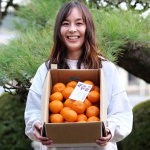【ふるさと納税】有田 みかん しにせの味 (1kg) サイズお任せ / 温州みかん 有田みかん 甘い 和歌山 柑橘 ※2026年11月上旬～翌年2月中旬頃に順次発送予定 【tkf004-r-1】