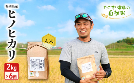 定期便 6ヶ月 米 たごもり農園の自然米 ヒノヒカリ 玄米 2kg お米 6回
