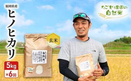定期便 6ヶ月 米 たごもり農園の自然米 ヒノヒカリ 玄米 5kg お米 6回