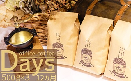 定期便 12ヶ月 自家焙煎 オフィスコーヒー Days マイルドブレンド 500g×3 粉 12回 お楽しみ Morrow珈琲 