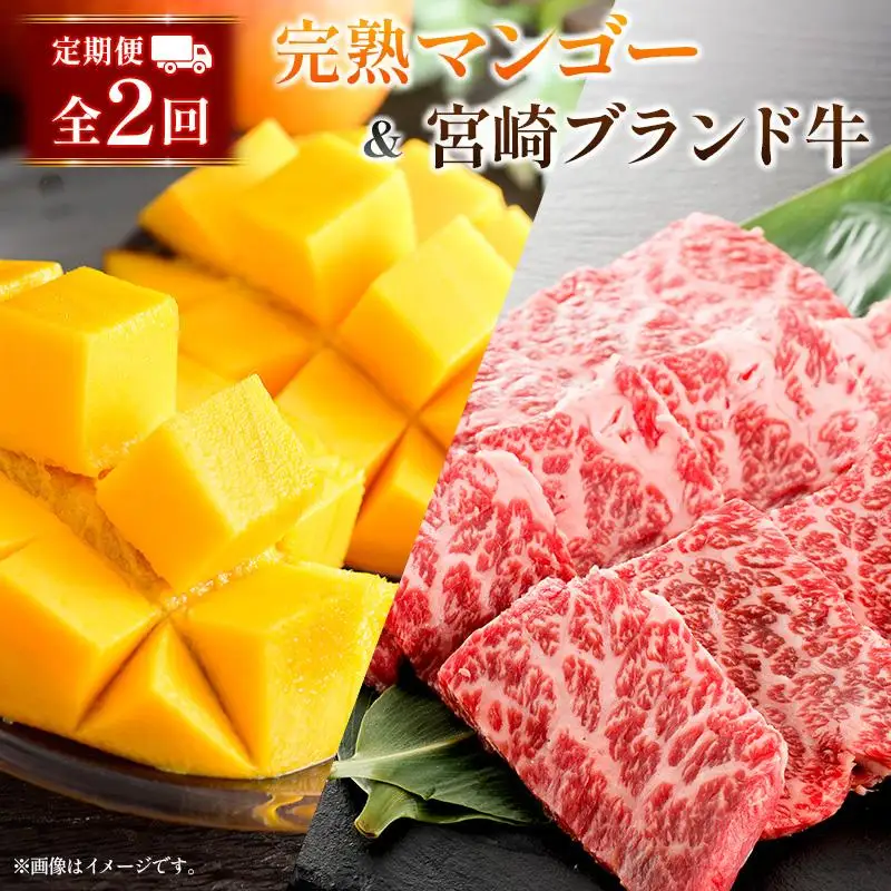 定期便 完熟マンゴー 2L×2玉 & 宮崎ブランド牛 計1kg 全2回 宮崎特産 牛肉 フルーツ 果物