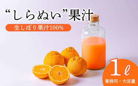 濃厚な甘さ しらぬいの手搾り果汁1L(業務用) TF0816-P00074