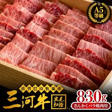 三河牛(黒毛和種)A5等級　さんかくバラ焼肉用 830g　【配送不可地域：離島】【1200677】