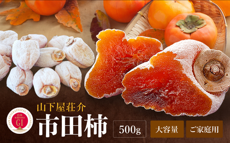 信州の特産品「市田柿」ご家庭用 500g 〈2027年1月中旬～2月下旬発送〉 | 長野県 飯田市