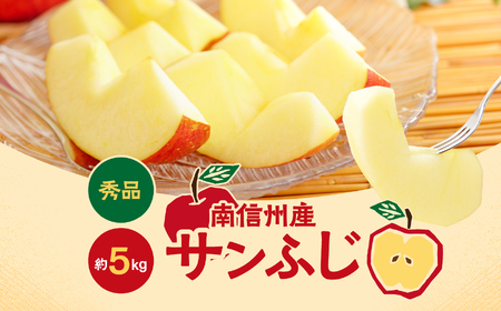 長野県産 りんご ( サンふじ ) 約5kg ＜2026年11月下旬～12月中旬発送＞ | 長野県 飯田市