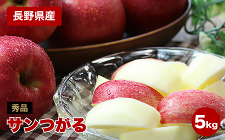 りんご の 一番手! 長野県産 りんご サンつがる 約5kg 秀品 〈2026年9月上旬～9月中旬発送〉| 長野県 飯田市