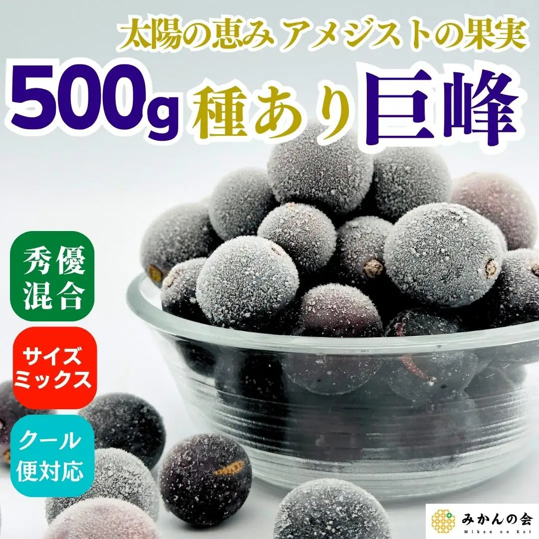 冷凍 種あり 巨峰 約500g 秀優混合 サイズミックス 和歌山県産 産地直送 ぶどう クール便  【みかんの会】  巨峰