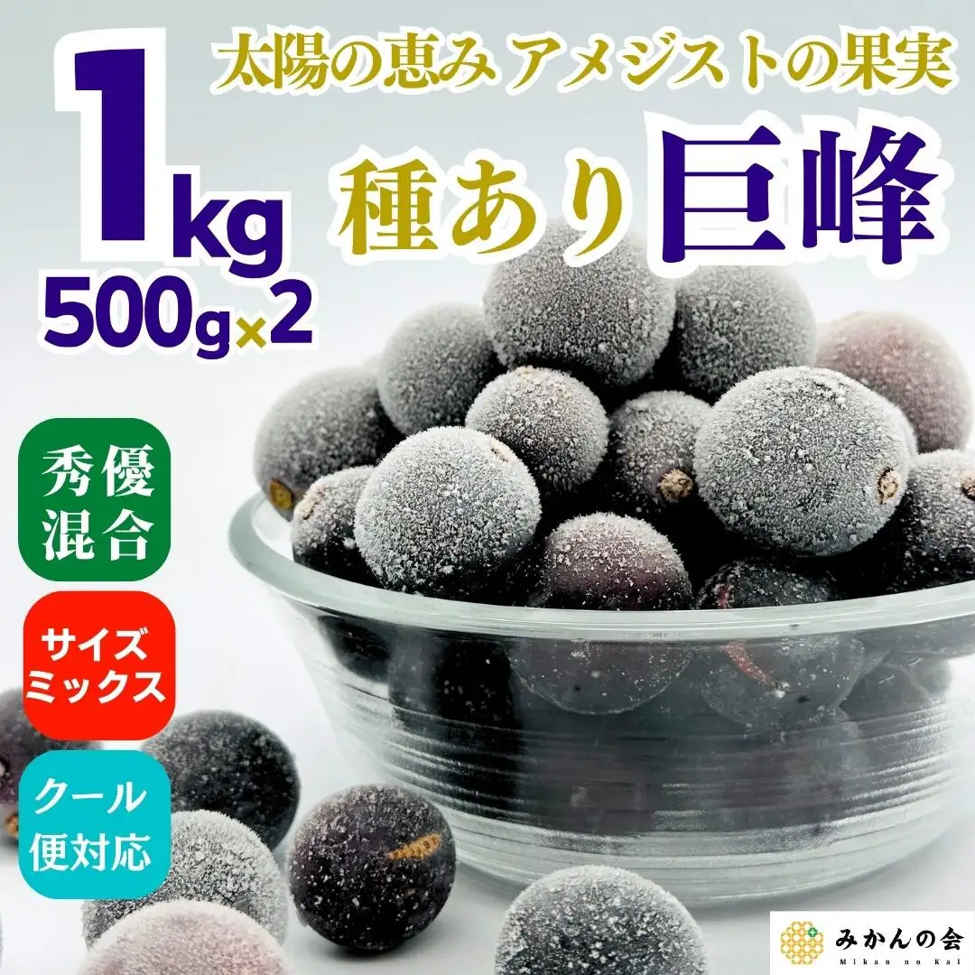 冷凍 種あり 巨峰 約1kg 秀優混合 サイズミックス 和歌山県産 産地直送 ぶどう クール便  【みかんの会】  巨峰