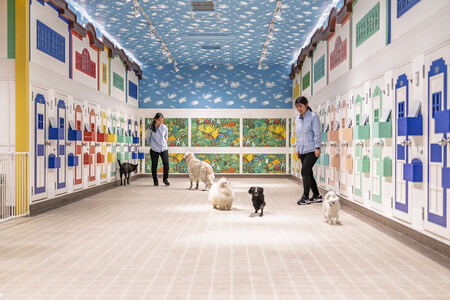 【WANCOTT】ドッグホテル利用券　10,000円分 ALN0001