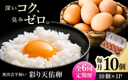 【6回定期便】彩り天佑卵 10個入り[AIDL008] 卵