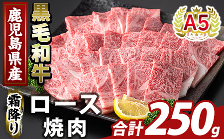K-482-A 鹿児島県産A５等級黒毛和牛霜降り上ロース焼肉(計250g)【ふるさと産直バザール】霧島市 牛肉 国産 鹿児島県産 ロース 焼肉 肉 精肉