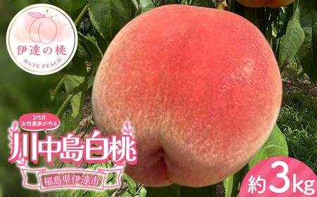 【2026年出荷分先行予約】福島県産 川中島白桃 約3kg (8～12玉) 小野農園 3代目の女性の農家が作る桃 伊達の桃 桃 フルーツ 果物 もも モモ momo F21C-130