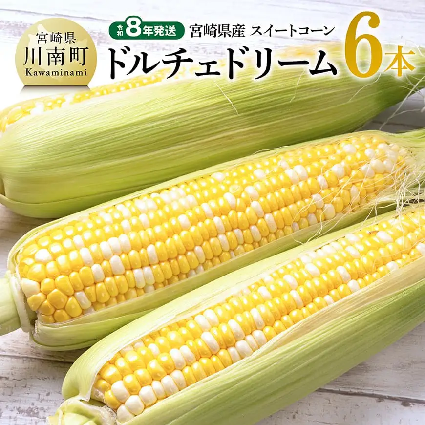 【令和8年発送】宮崎県産とうもろこしスィートコーン「ドルチェドリーム」6本 スイートコーン