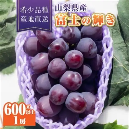 【2026年発送】富士の輝き1房(600g以上)【配送不可地域：離島】【1613562】