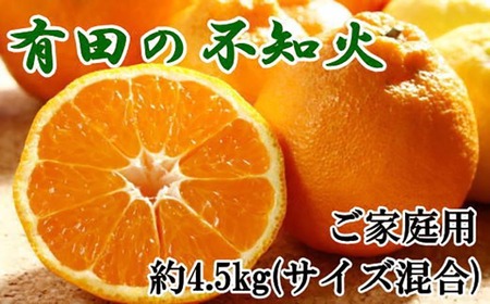 【先行予約】【濃厚】和歌山県有田産 不知火 約4.5kg（サイズ混合）