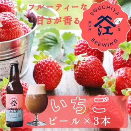 霞ヶ浦いちごエール 茨城県産 330ml×3本セット_酒・アルコール  ビール _【配送不可地域：離島】【1613504】