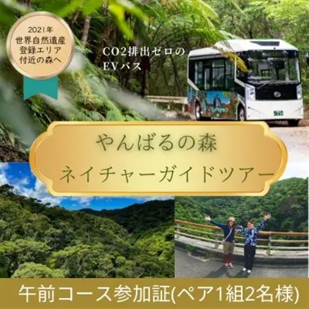 【一ヶ月前予約必須】やんばるの森ネイチャーガイドEVバスツアー 平日午前コース(ペア1組2名様分)【1606954】