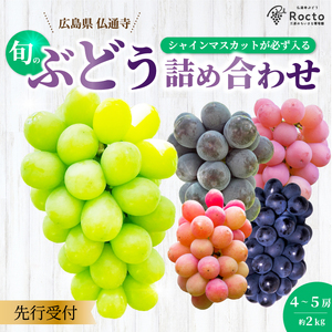 【先行受付】厳選！旬のぶどう詰め合わせ約2kg（4～5房） 2026年9月上旬から順次発送 種なし シャインマスカット 品種 農園おまかせ ピオーネ BKシードレス 安芸クイーン クイーンニーナ スカーレット マスカサーティーン お楽しみ 人気 葡萄 贈答 お中元 プレゼント 厳選 フルーツ 205002