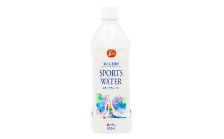 スポーツウォーター 500ml（PET）×24本 計12L 飲料 ドリンク スポーツ用飲料 天然水 温州みかん果汁 ペットボトル