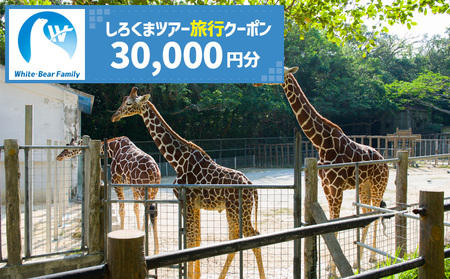 【沖縄市】しろくまツアーで利用可能なWEB旅行クーポン （3万円分） 沖縄旅行 観光 ツアー トラベルクーポン 電子クーポン 30000円 沖縄市 / 株式会社ホワイト・ベアーファミリー [BCAV004]