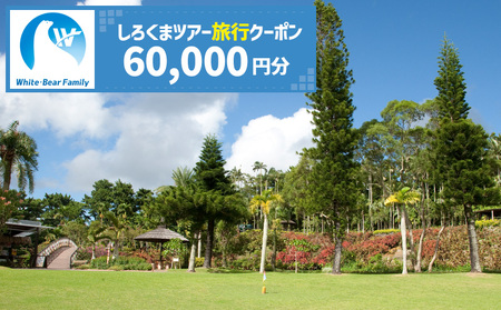 【沖縄市】しろくまツアーで利用可能なWEB旅行クーポン （6万円分） 沖縄旅行 観光 ツアー トラベルクーポン 電子クーポン 60000円 沖縄市 / 株式会社ホワイト・ベアーファミリー [BCAV005]