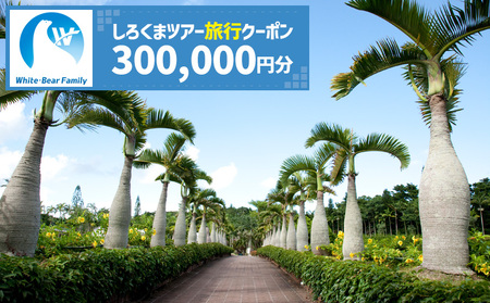 【沖縄市】しろくまツアーで利用可能なWEB旅行クーポン （30万円分） 沖縄旅行 観光 ツアー トラベルクーポン 電子クーポン 300000円 沖縄市 / 株式会社ホワイト・ベアーファミリー [BCAV008]