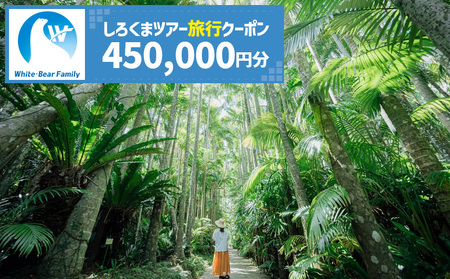 【沖縄市】しろくまツアーで利用可能なWEB旅行クーポン （45万円分） 沖縄旅行 観光 ツアー トラベルクーポン 電子クーポン 450000円 沖縄市 / 株式会社ホワイト・ベアーファミリー [BCAV009]