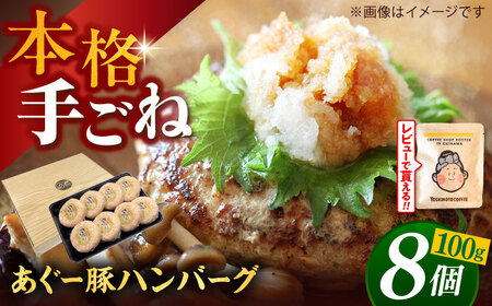 あぐー豚 ハンバーグ 800g (100g×8個) 沖縄県産あぐー BCAZ001