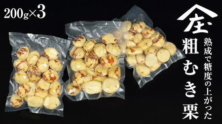 熟成で糖度の上がった 粗むき栗 600g (200g × 3) ( 冷凍真空包装 ) 