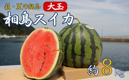 スイカ 約8kg 萩・夏の銘品 相島 西瓜 秀品 大玉すいか フルーツ 果物 果物類 贈答品 ギフト