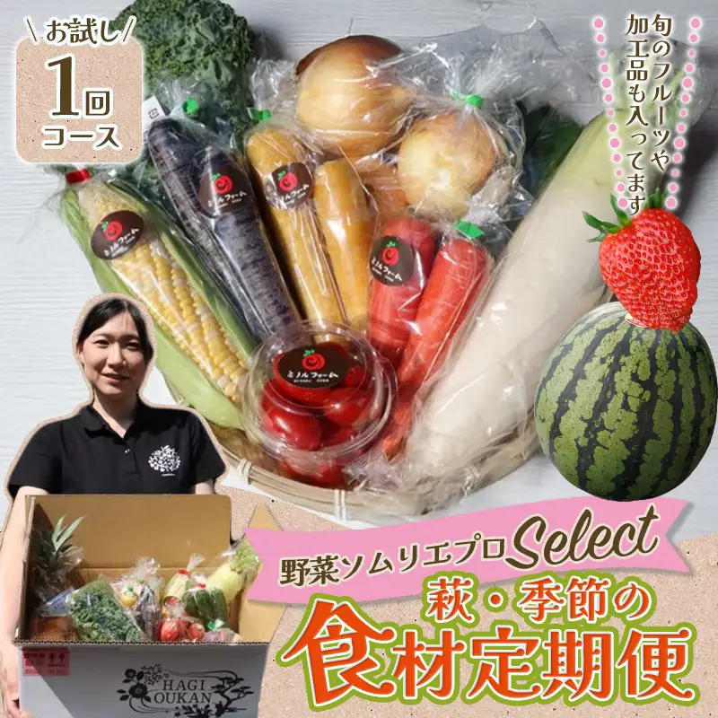 野菜ソムリエプロselect／萩・季節の食材セット 定期便お試し1回コース