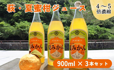 萩名産夏蜜柑／萩・夏蜜柑ジュース 4倍濃縮・3本セット