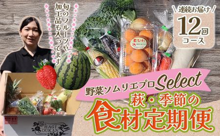 野菜ソムリエプロselect／萩・季節の食材定期便 12回コース