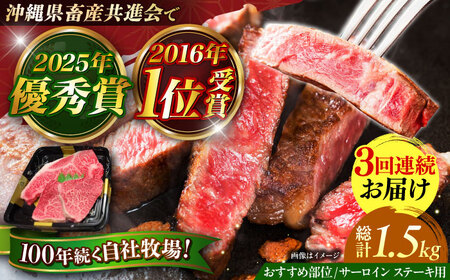 サーロインステーキ 【全3回定期便】【数量限定】沖縄和牛 佐渡山牛 サーロイン＆希少部位 ステーキ肉 500g  BCBC014 牛肉