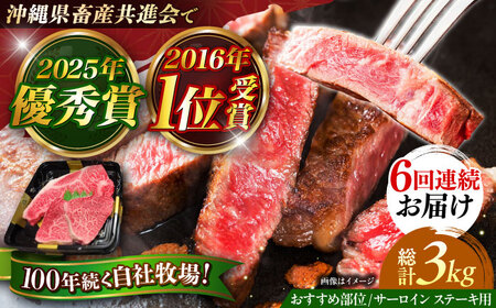 サーロインステーキ 【全6回定期便】【数量限定】沖縄和牛 佐渡山牛 サーロイン＆希少部位 ステーキ肉 500g  BCBC015 牛肉